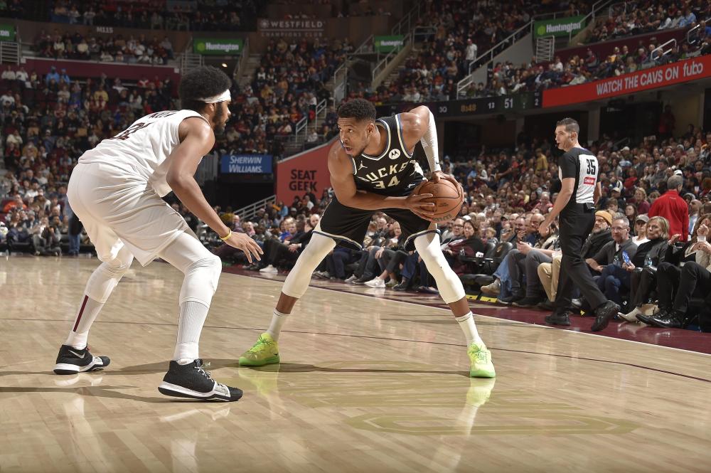 集体体验的 集体体验的