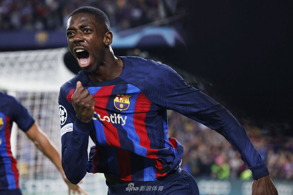 影响分析 影响分析